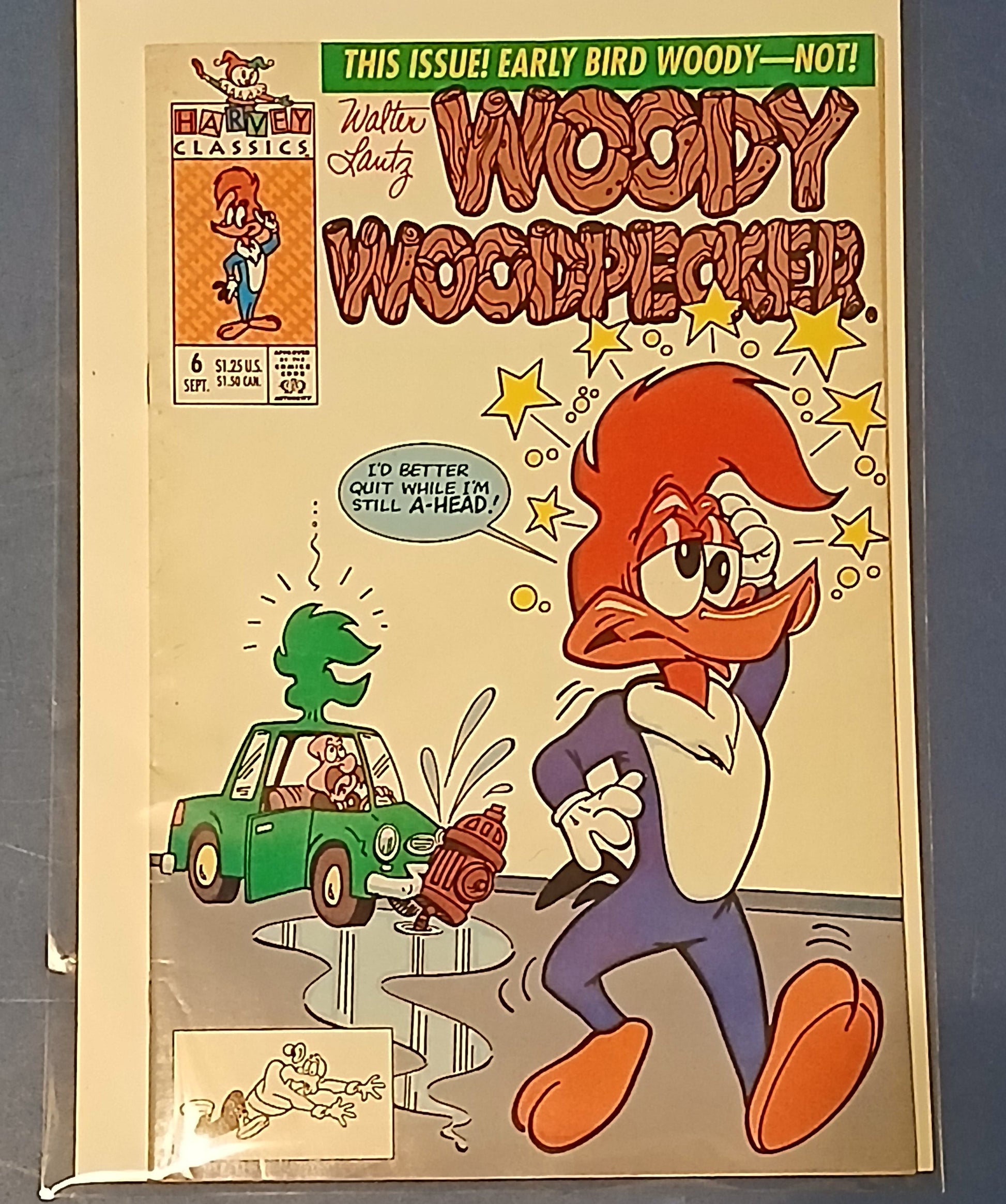 Woody Woodpecker #6
